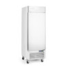 Gefrierschrank 580 l Durable Freezer 684x2120mm arktic