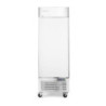 Gefrierschrank 580 l Durable Freezer 684x2120mm arktic
