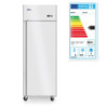 Tiefkühlschrank, eintürig Profi Line 670 L 232132 arktic