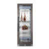 Arktic Reifeschrank 760x605x1725 mm für präzise Fleischreifung