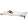 Plaque chauffante WP600 600W inox – bartsch er