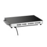 Plaque maintien au chaud induction IW10 1000W | bartschser