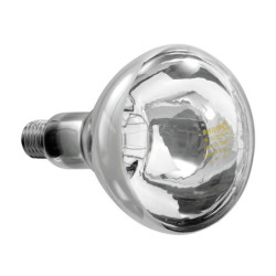 Infrared Lamp IWL250D-W – Efficient Food Warming | bartsch er