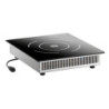 Plaque maintien chaud induction 1000W – bartschER IW10-EBBF