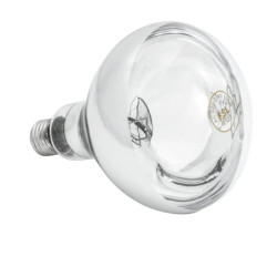 Infrared Lamp IWL250D-WS – Efficient Heat 120x120 mm | bartsch er