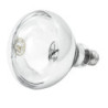 Infrarotlampe IWL250D-WS – 250 W Leistung | bartscher