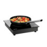 Plaque induction encastrable 201TC 2000W – bartschser
