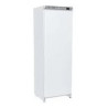 Gefrierschrank Budget Line 640x600x1880 mm – robust | arktic