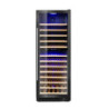 Wine cooler 2-zone 135 bottles – precise control | arktic