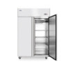 Tiefkühlschrank zweitürig 1240 L – Umluftkühlung | arktic