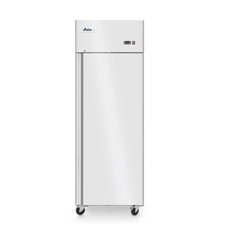 Congélateur Profi Line 670 L inox – Arktic