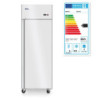 Congélateur Profi Line 670 L inox – Arktic