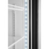 Back bar refrigerator with backlit panel – arktic 578x605x1980mm