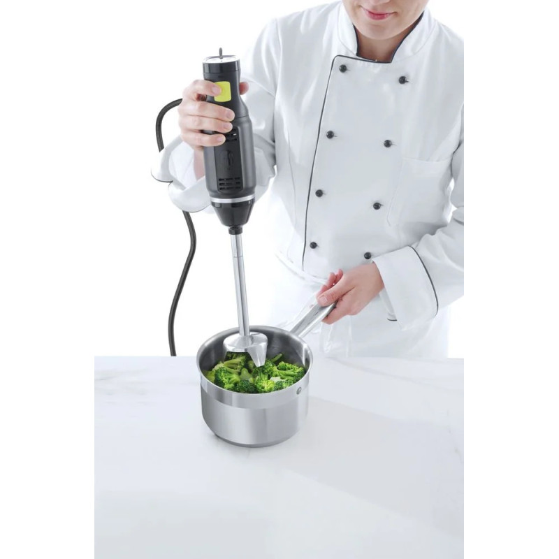 Stick Blender BLEND – 250W Power, Adjustable Speed | hendi