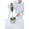Mixeur plongeur puissant 250W – HENDI Blend 222157