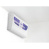 Destructeur d’insectes 100 m² – plaque collante | hendi