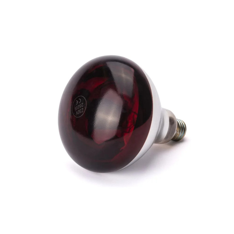 Infrarot-Glühlampe 250W Rot – Bruchsicher | hendi