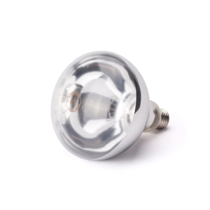 Infrared Heat Bulb 250W E27 – Durable & Bright | hendi