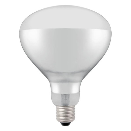Infrarot-Glühlampe 250W – Bruchsicher & Effizient | hendi