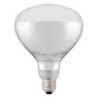 Infrarot-Glühlampe 250W – Bruchsicher & Effizient | hendi