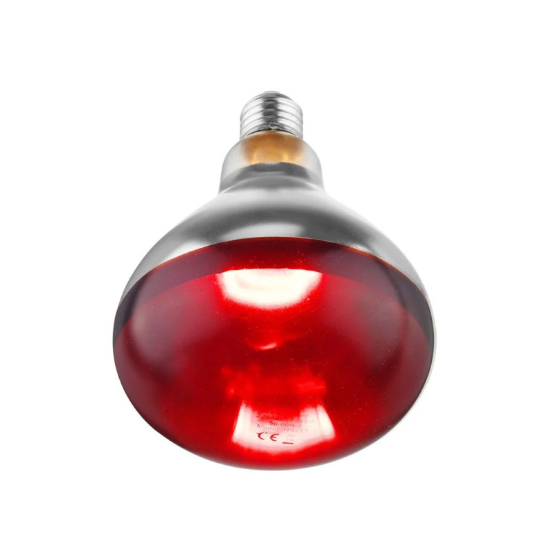 Infrarot-Glühlampe 250W – Bruchsicher & Effizient | hendi